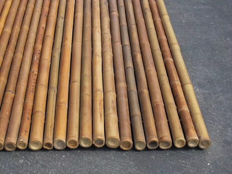 Bamboo poles