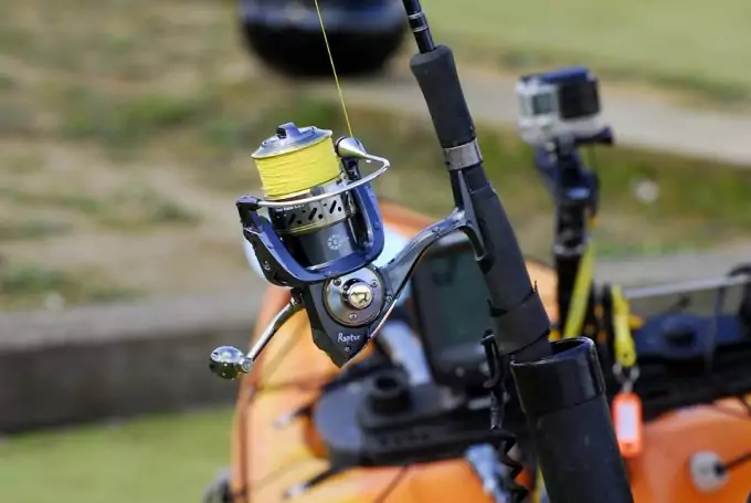 Best Fishing Reels