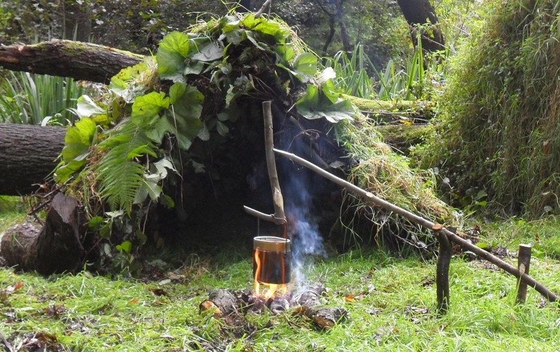 Build a shelter