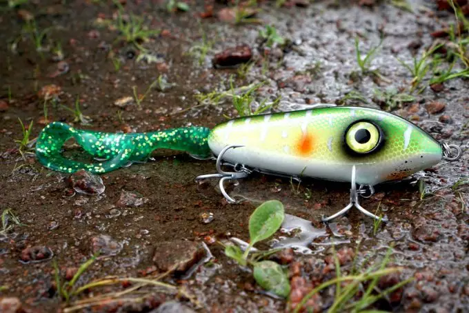 Fishing Lure