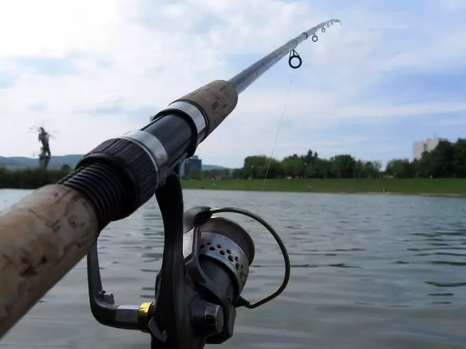 Fishing Rod