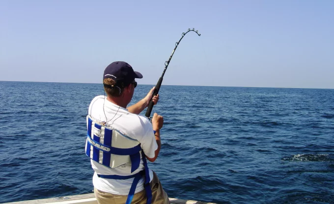 Fishing Rod Guides