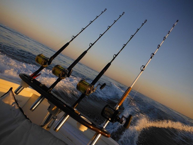 Fishing poles