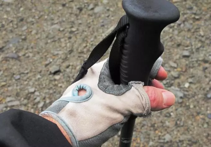 Hiking Pole Handle