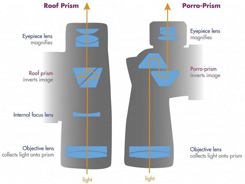 How do they work infographic