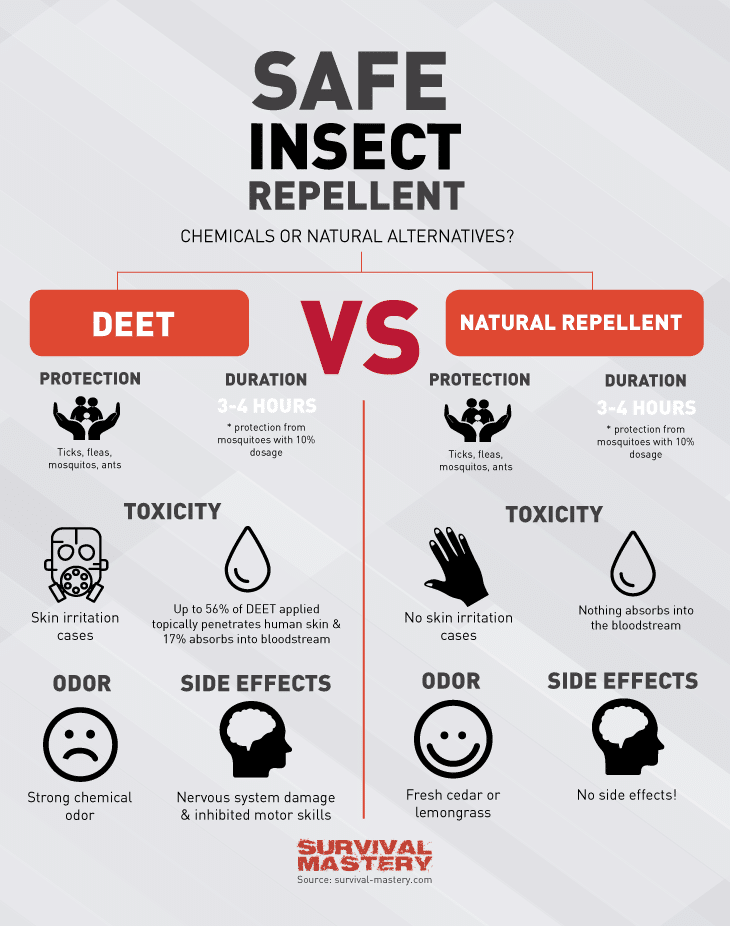 Insect repellent infographic