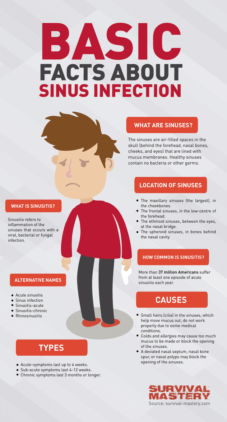 Sinus infection infographic