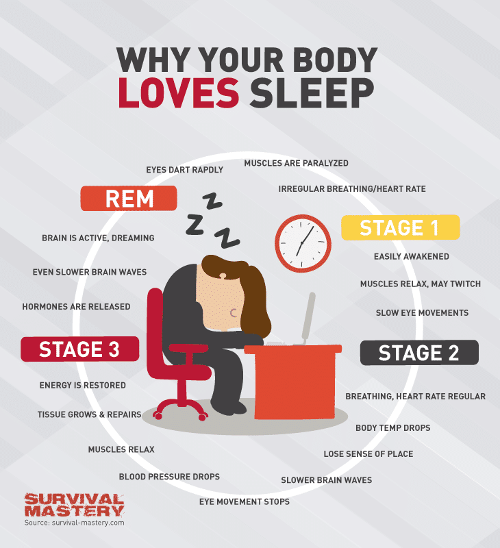 Loves sleep infographic