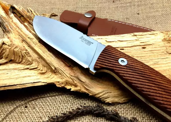 LionSteel M3