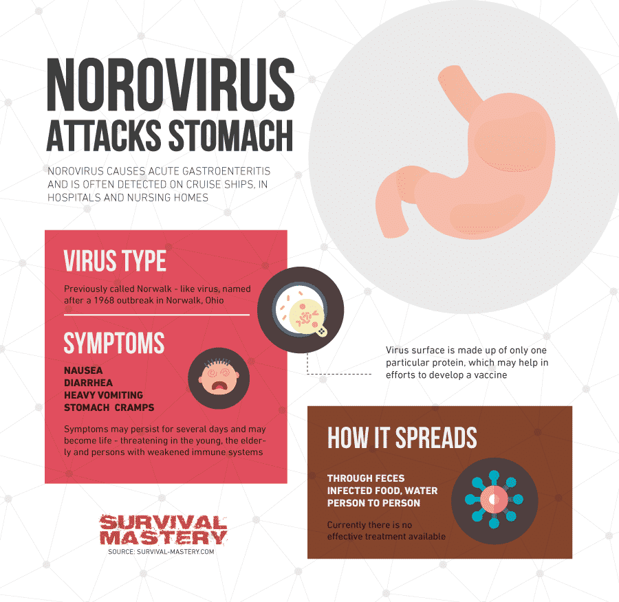 Norovirus infographic