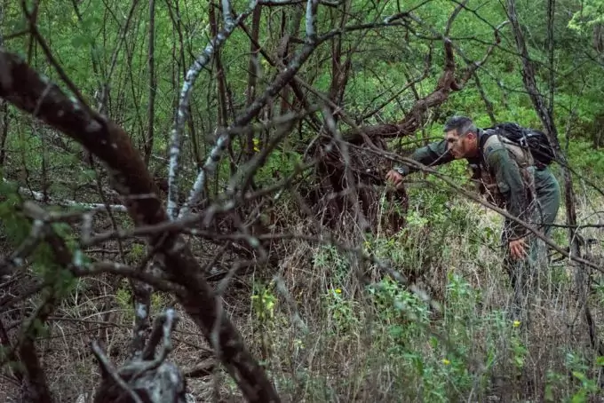 Person Is Walking In the Jungle