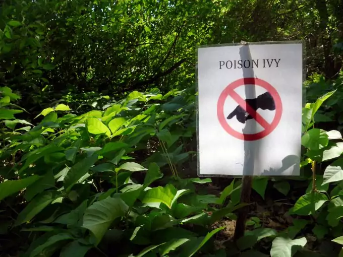 Poison Ivy Sign