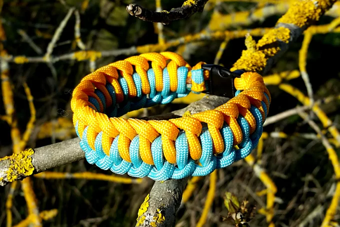 Survival Strap