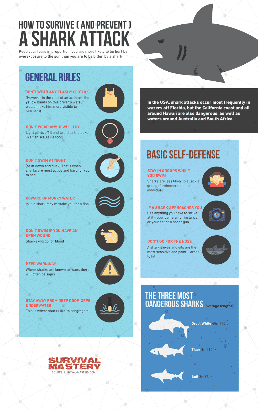 Survive a shark attack infographic