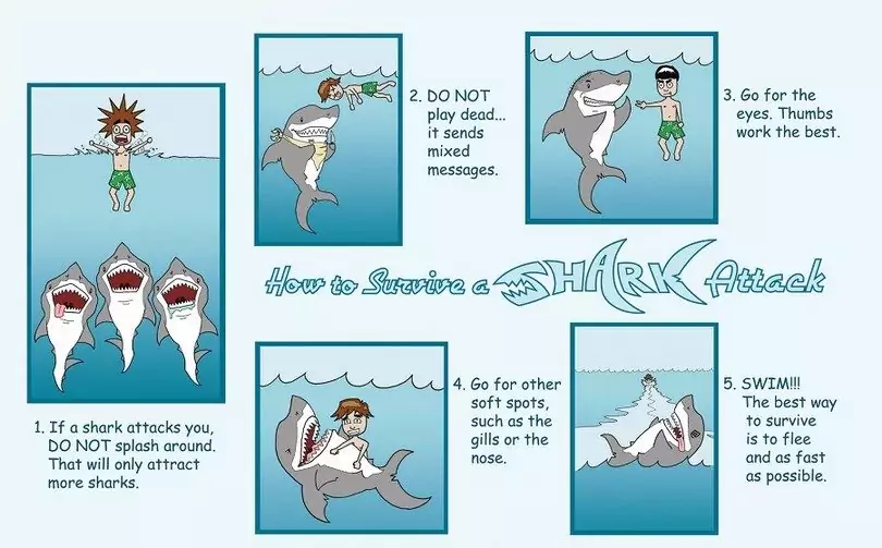 How to Survive A Shark Attack Peril in The Ocean