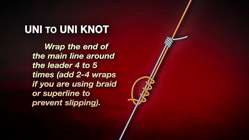 Slip knot how to tie the new Uni Knot