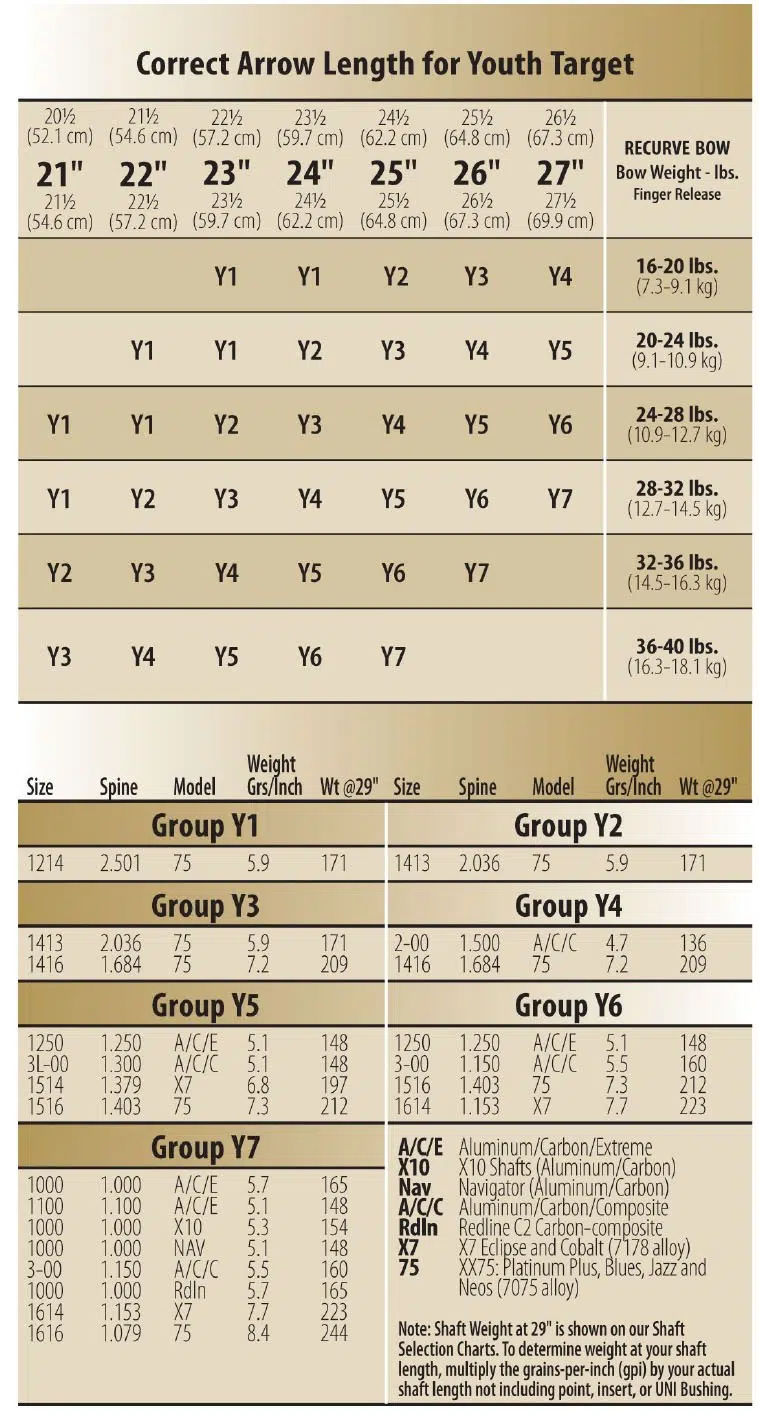 Arrows for youth target