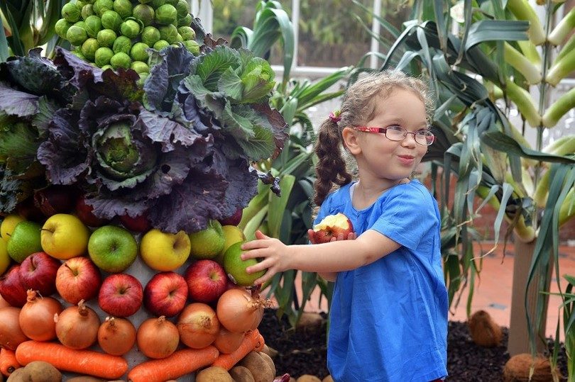 Avoid eating fruits in the forest