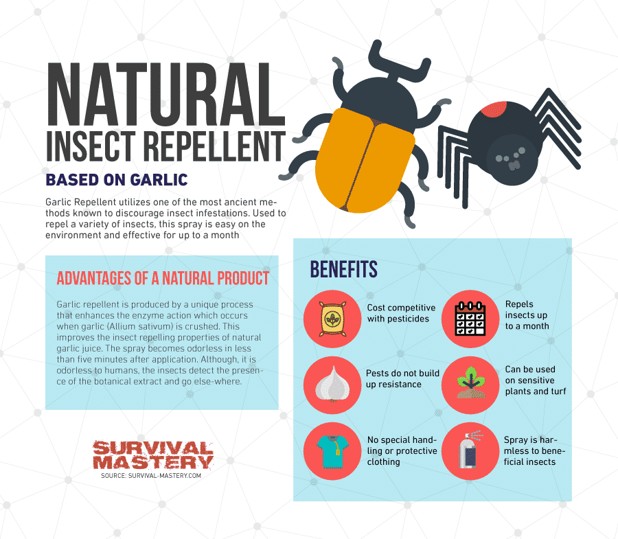 Natural insect repellent infographic