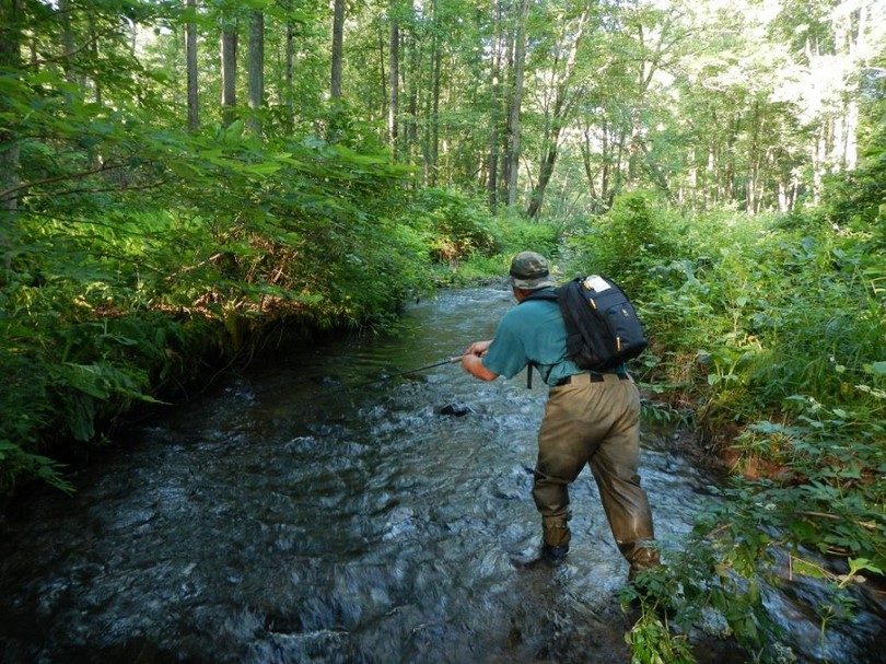 Fishing in wild