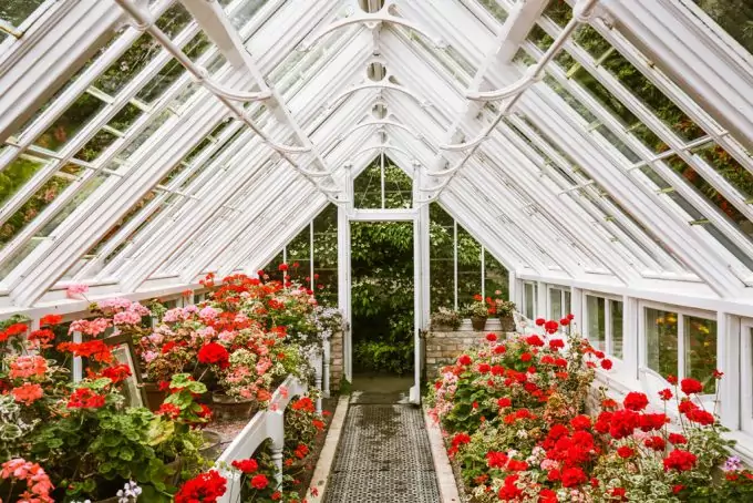 Greenhouse Shelves