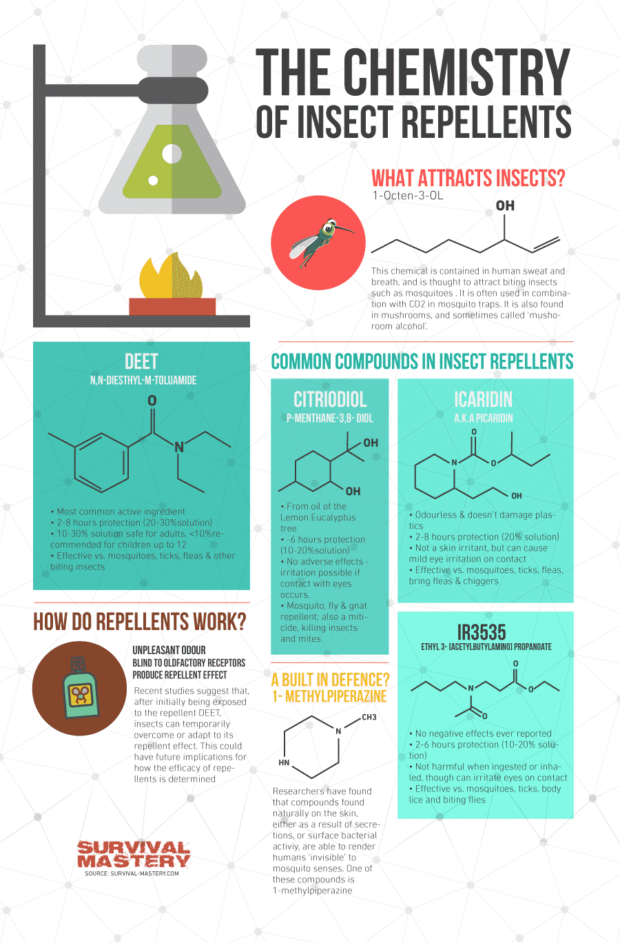 The chemistry of Insect Repellent infographic