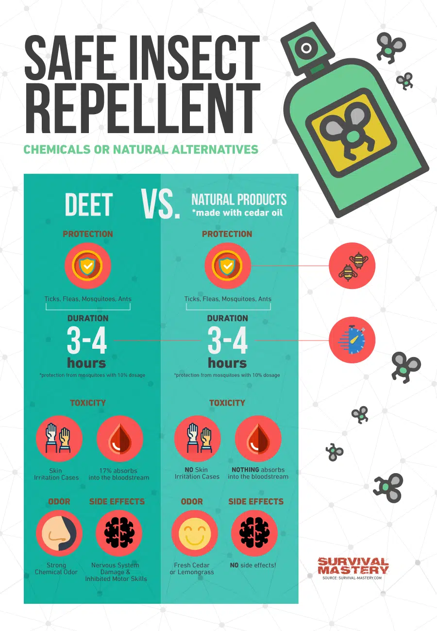 Safe insect repellent infographic