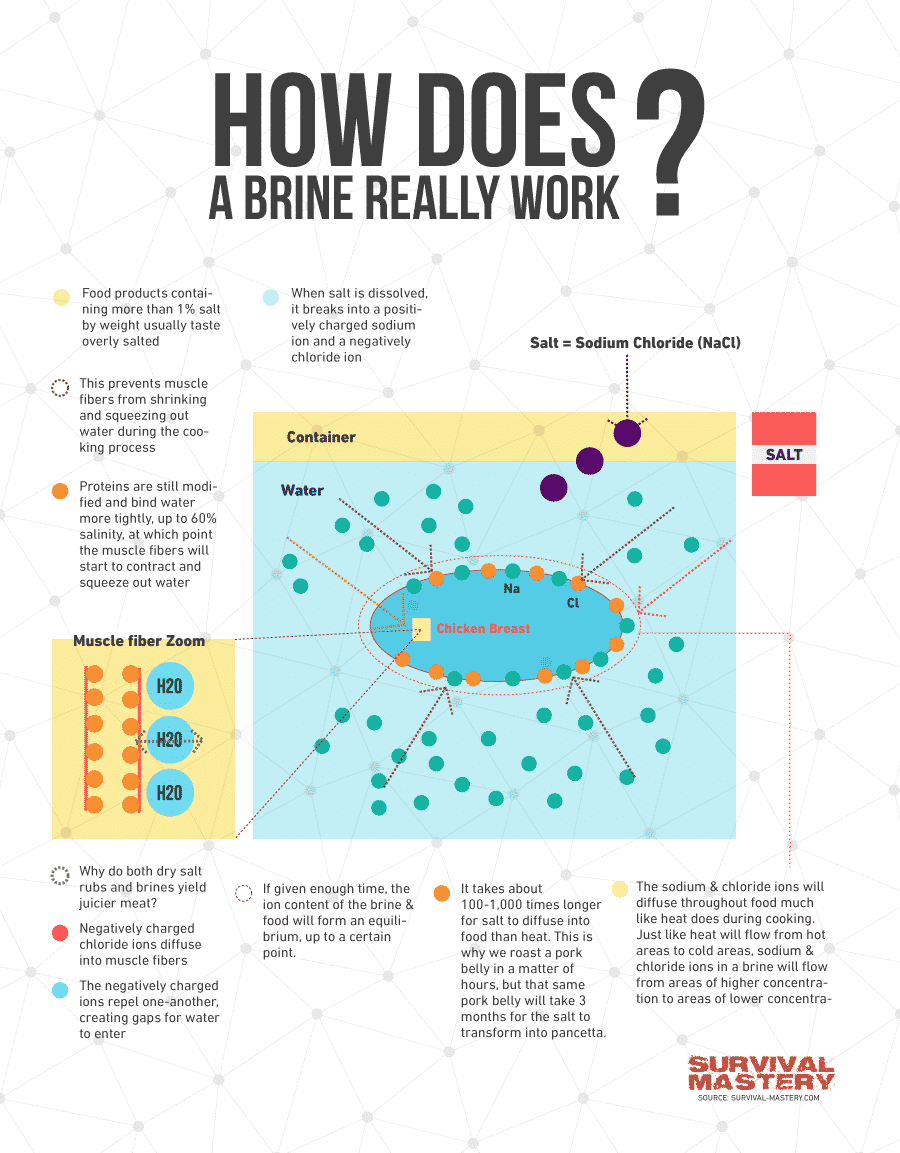 How to brine infographic