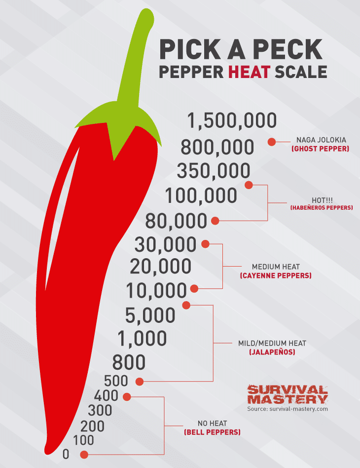 Pick a peck infographic