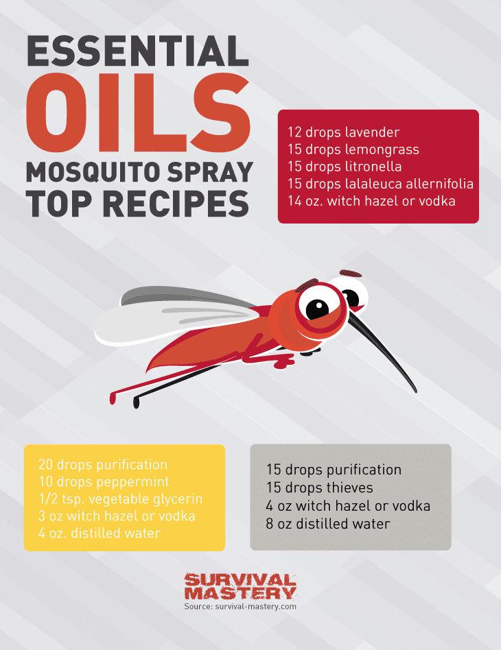 Mosquito spray infographic