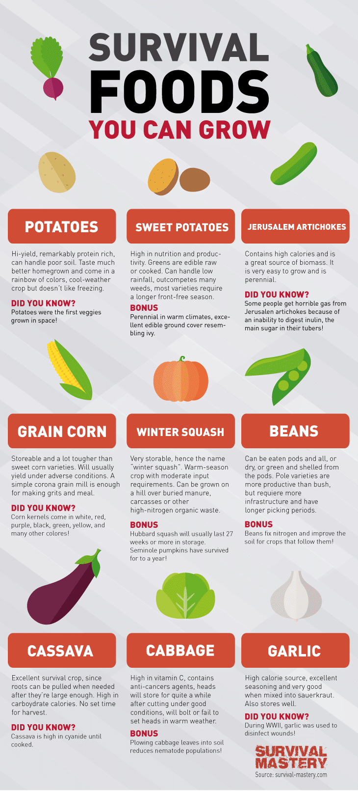 Survival food infographic