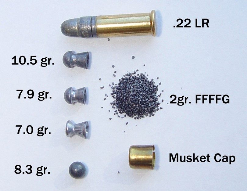 Best Pellet Gun for Hunting A Guide to Finding A Hunting Pellet Gun