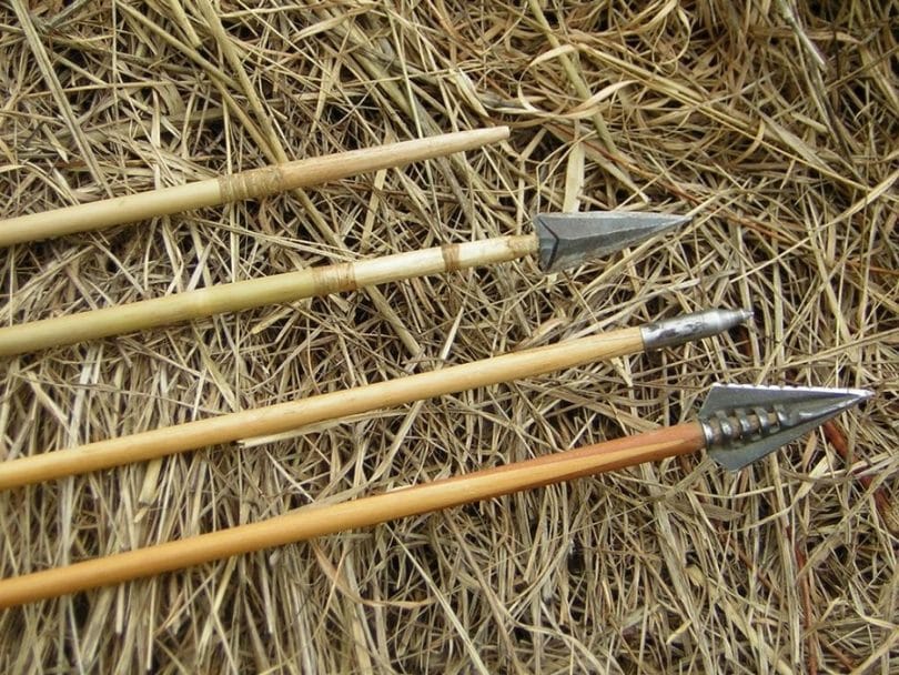 Bamboo arrows