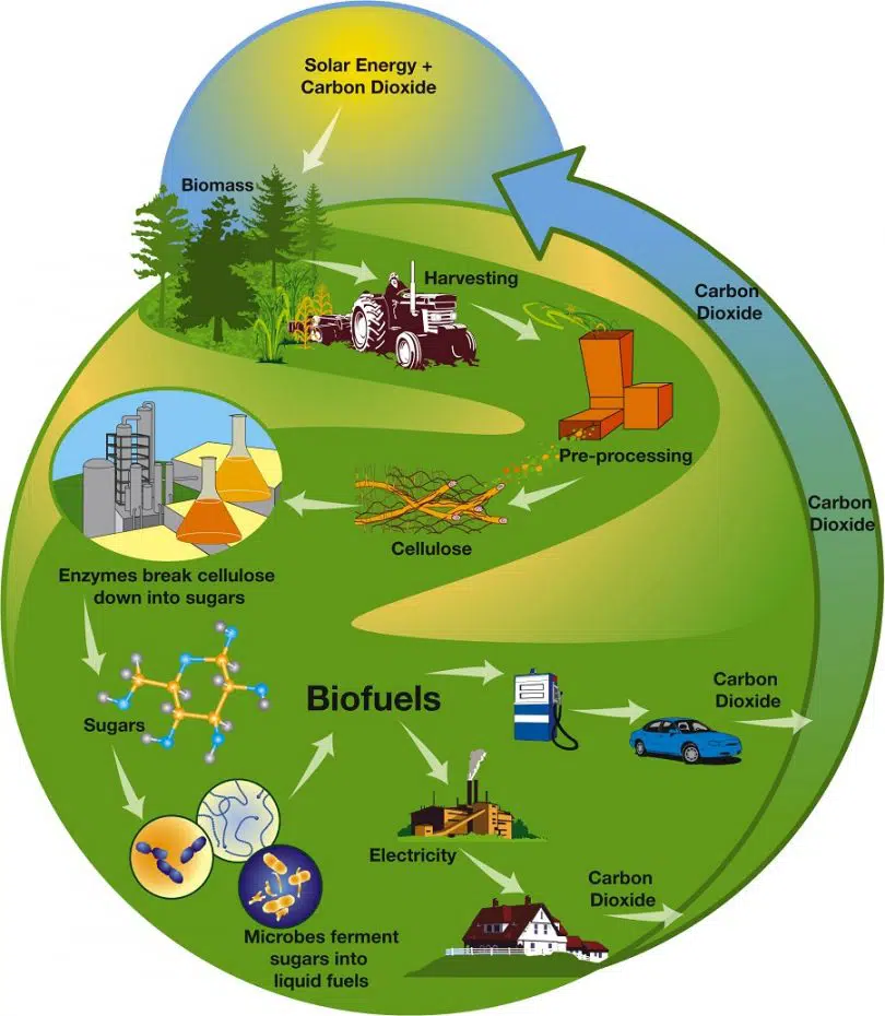 Benefits of biofuel