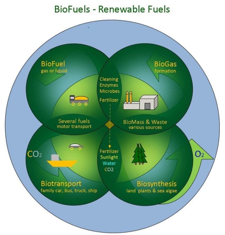 How to Make Biofuel: Brewing Your Own Juice