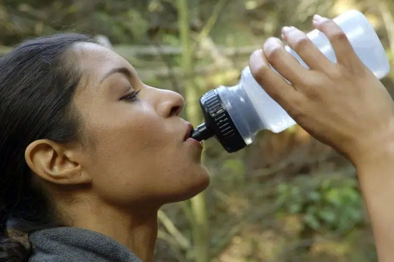 きれいな水を飲む