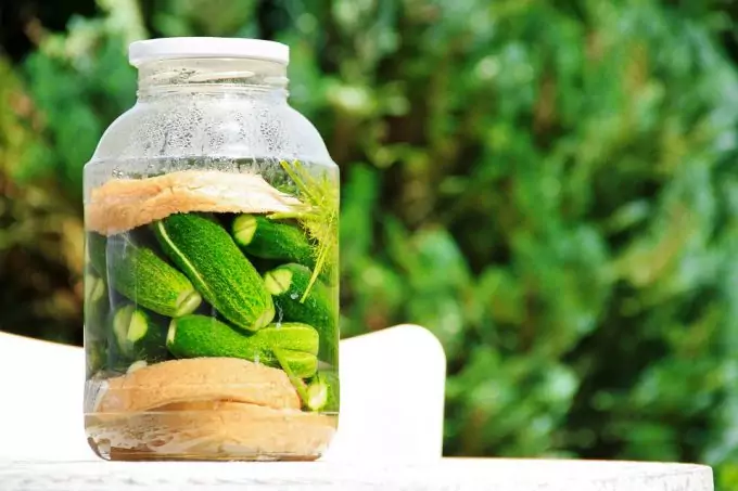 Fermenting Cucumbers