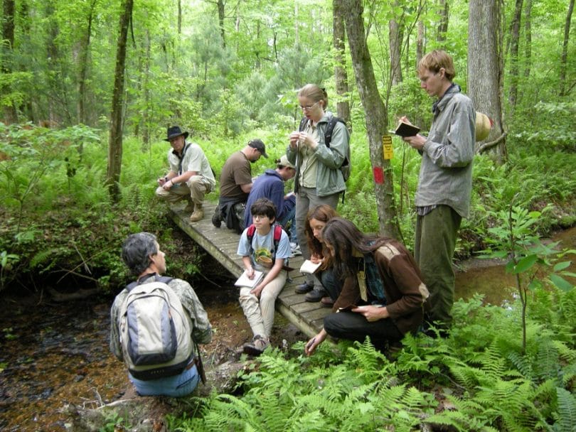 Men Living In The Wilderness