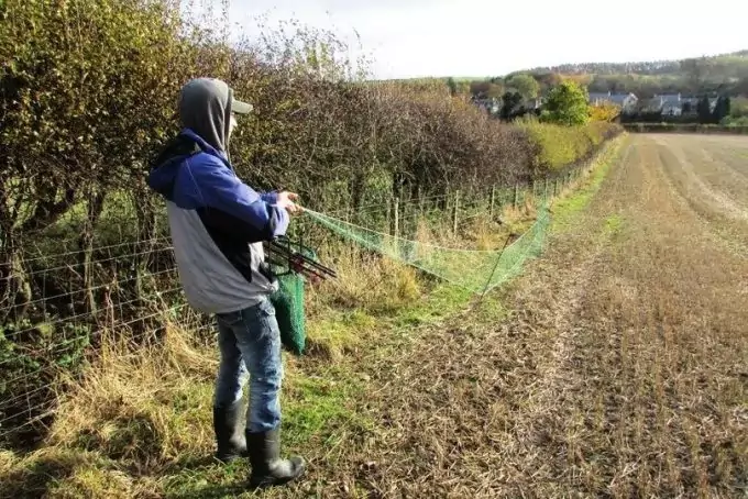 Long Netting