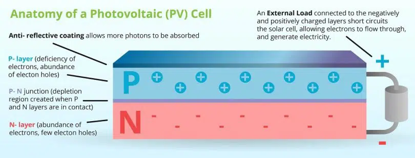 PV-Cell anatomy