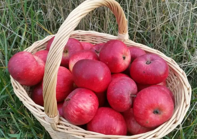 Apples for Barter