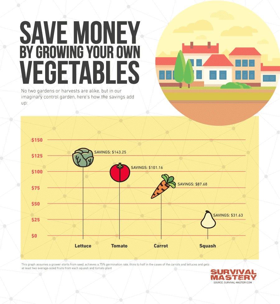 Growing your own veggie infographic