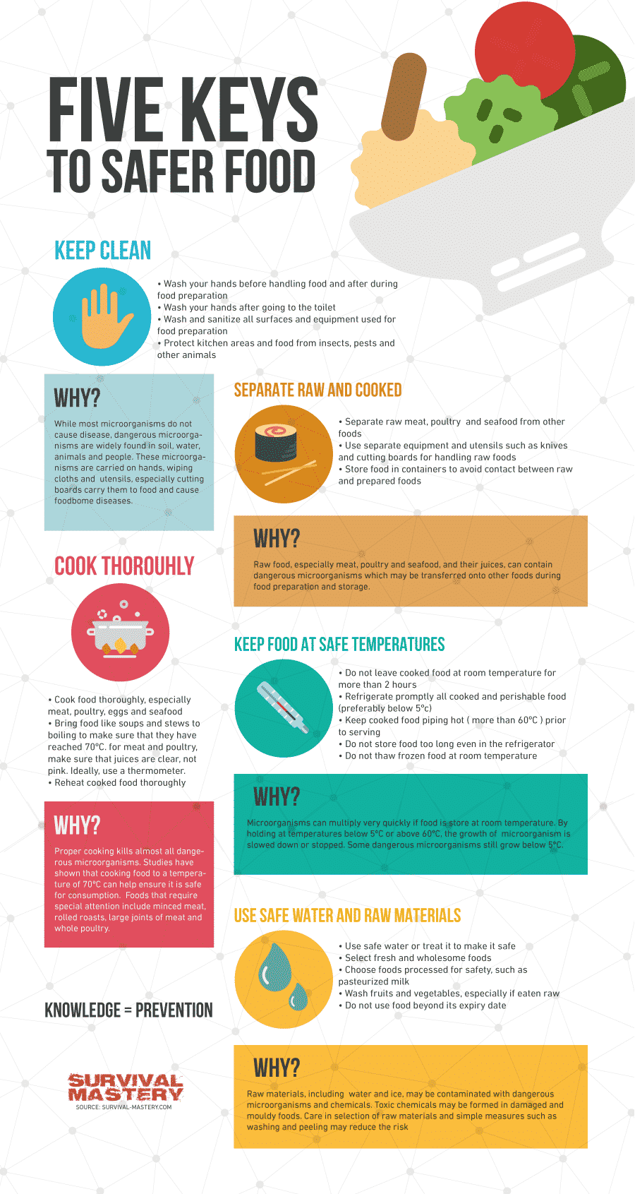 Safer food infographic