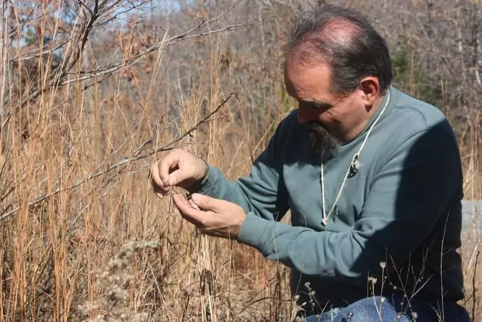 Collecting Plants in the Forest