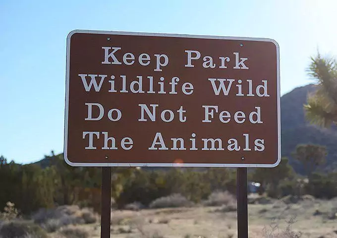 Do Not Feed The Animals