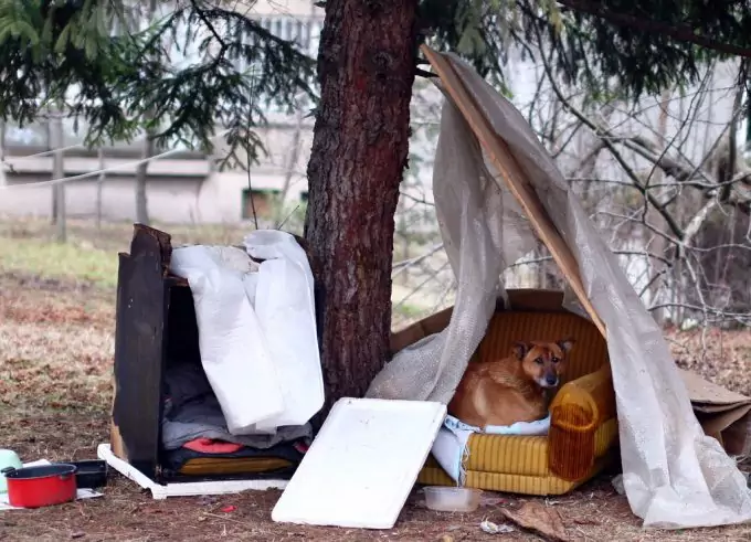 Homeless Camping