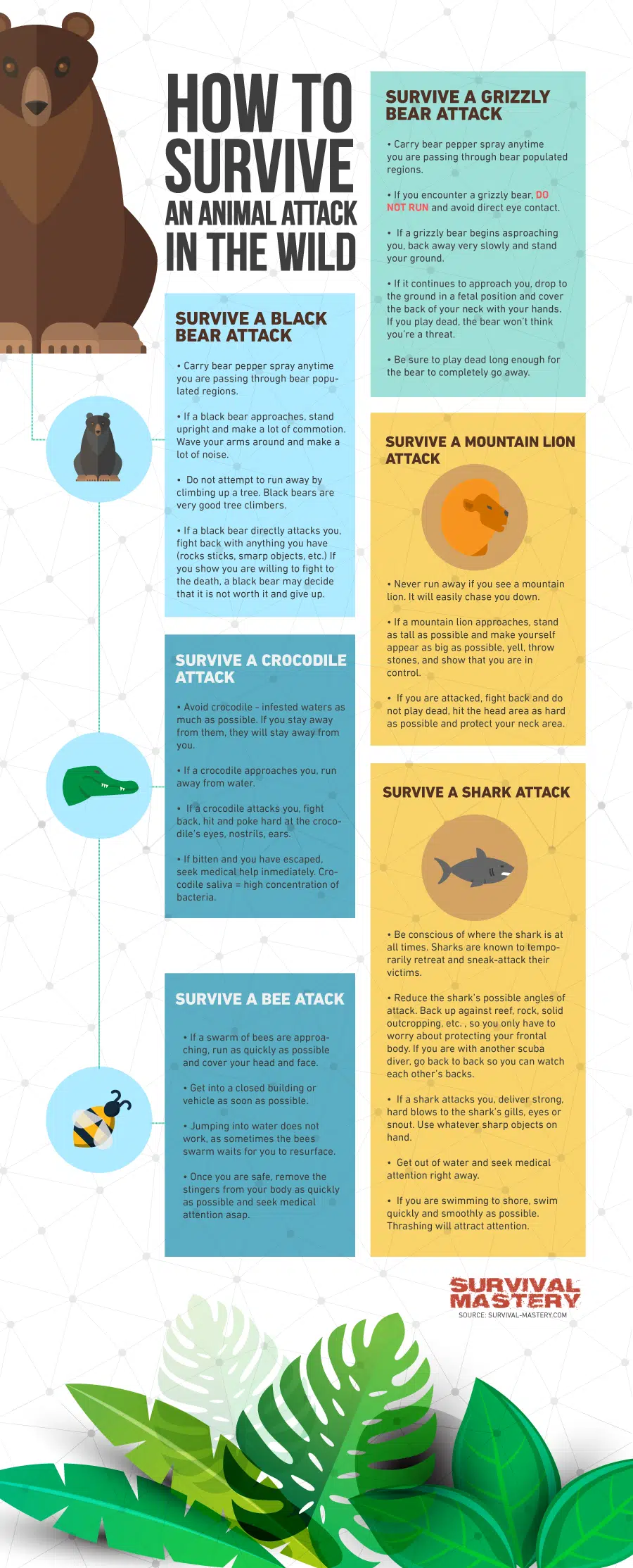 Avoid Wild Animals infographic