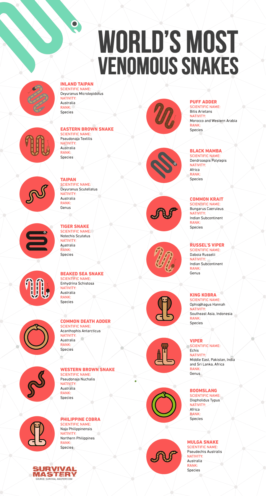 Most Poisonous Snakes infographic