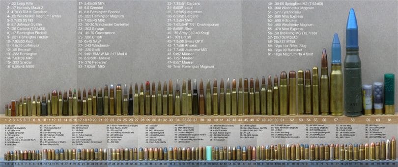 All Ammo Comparison Infographic