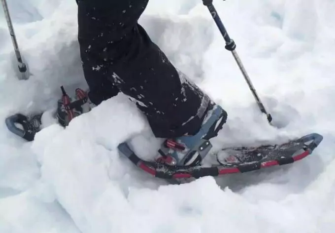 Artica Snowshoes